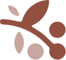 coffee seed