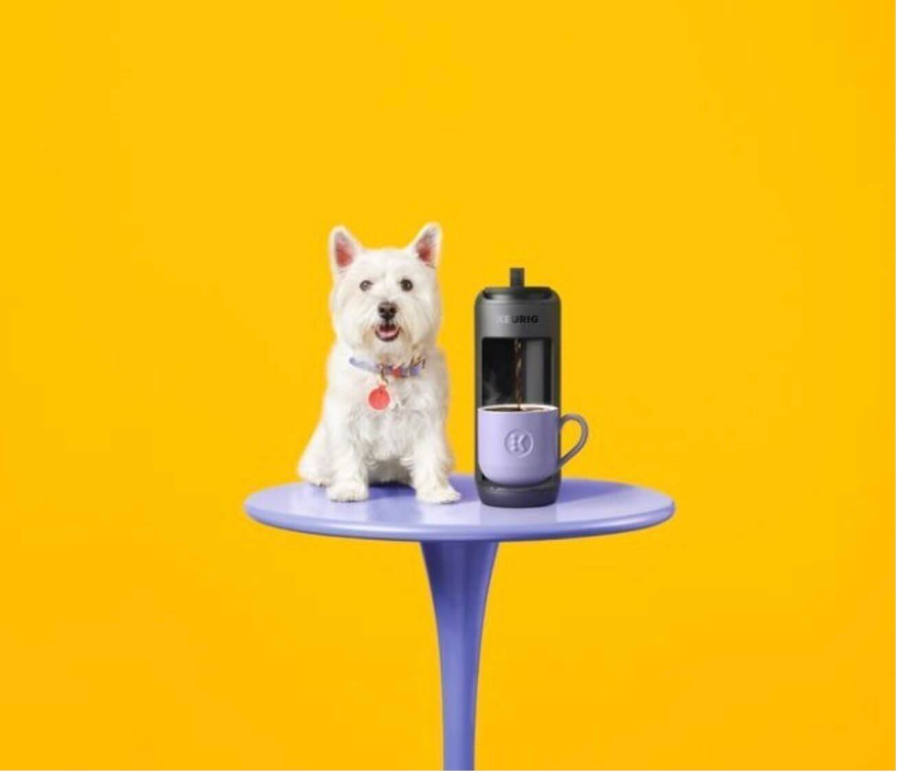 Keurig K-Mini Mate in Matte Black