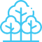 Forest Protection & Conservation